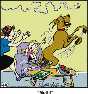 marmaduke
